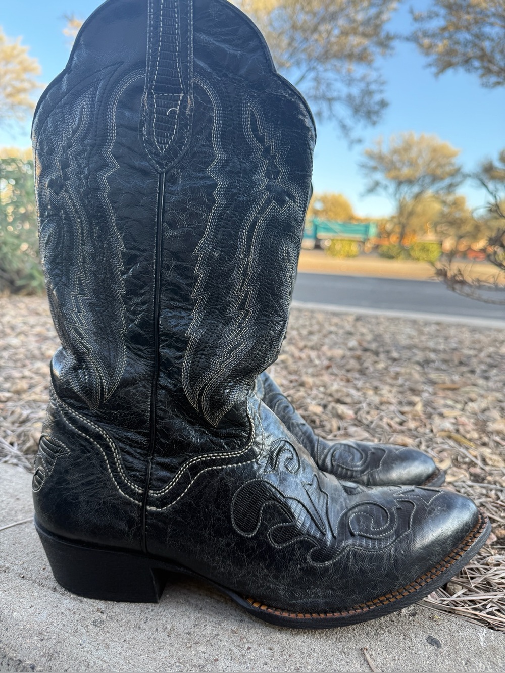 JB Dillon black goatskin cowgirl western boot sz 9.5
